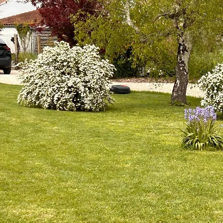 Maison Ginette - Piscine Chauffée, 8 Pers, Proche De La Villa